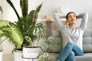 10 plante care purifică aerul din casă. Trebuie să le ai, sunt superbe și ușor de întreținut