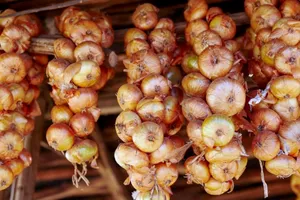 Cum se depozitează corect ceapa. Lângă ce legume să nu o pui niciodată, se va strica în scurt timp