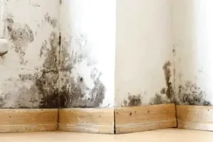 Cum poți să scapi de umiditatea de pe pereți și tavan. Trucul care te ajută să elimini definitiv această problemă
