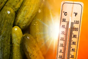 La ce temperatură trebuie să stea murăturile în cămară, de fapt. Greșeala care le face să se strice rapid