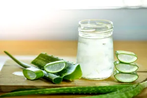 De ce să ții aloe vera în casă. 5 motive care îți vor schimba viața