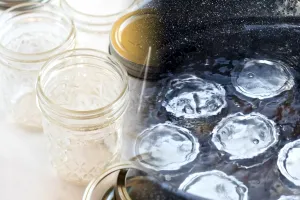 La câte grade se sterilizează borcanele. Ce trebuie să faci cu ele imediat după ce le scoți din cuptor