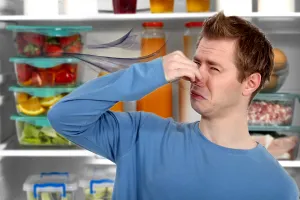 Ce să pui în frigider pentru a scăpa de mirosurile neplăcute. 4 metode banale care te ajută să rezolvi problema