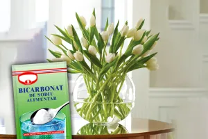 Ce se întâmplă dacă pui bicarbonat de sodiu în apa florilor. Trucul e de mare ajutor