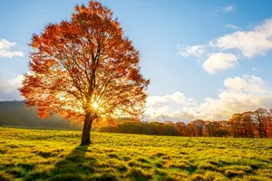 Prognoza meteo, toamna 2024. Cum va fi vremea în următoarea lună