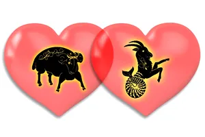 Compatibilitate zodii: Berbec și Capricorn. Ce fel de relație au cele două zodii