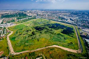 Ce este Delta Văcărești și de ce sunt incendii, periodic, în acest loc din București