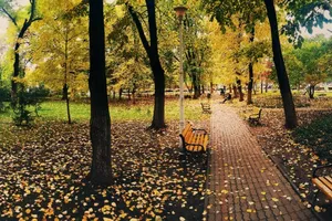 Tragedie în Parcul Tei: O tânără a născut în ger, sub cerul liber, dar bebelușul nu a supraviețuit