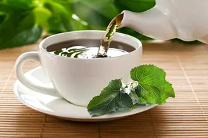 Ceaiul din frunze de dud negru. Un remediu natural care reglează glicemia și întărește oasele