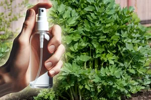 Cum poți elimina coropișnițele din grădină? Un fermier dezvăluie metoda sa eficientă