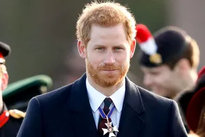 Prințul Harry s-a întors în Anglia. Motivul revenirii sale nu are legătură cu Regele Charles