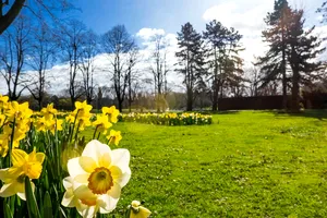 Vremea de 1 Mai. Ce ne așteaptă în minivacanță și cum va fi sfârșitul primăverii, potrivit ANM