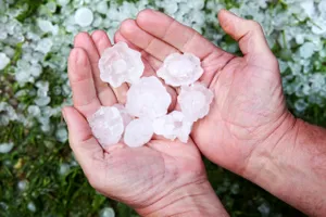 Grindină masivă a lovit România în luna mai. Zone acoperite de gheață și copaci smulși din rădăcini