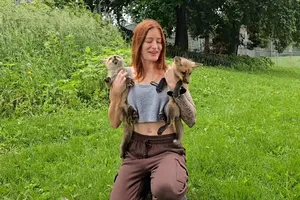Bullying-ul online a făcut o nouă victimă. O creatoare de conținut din SUA s-a sinucis