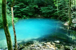 Lacul din Baia Sprie este un spectacol natural în fiecare anotimp. Schimbările sale de culoare îl fac unic în Europa