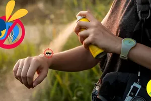 Vrei să scapi de țânțari fără chimicale? Descoperă rețete simple și eficiente pe bază de ingrediente naturale