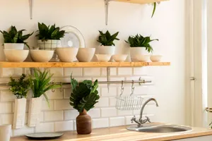 10 plante ideale pentru bucătăria ta