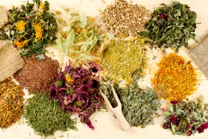 Planta naturală care întărește memoria și susține funcțiile creierului, potrivit medicilor