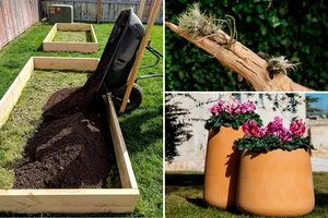 Trei proiecte simple de grădinărit pentru oricine, cu spațiu mic sau mare