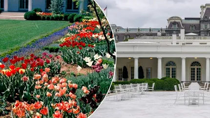 Grădina Trandafirilor de la Casa Albă, transformată complet. De la gazonul lui Kennedy la dalele lui Trump