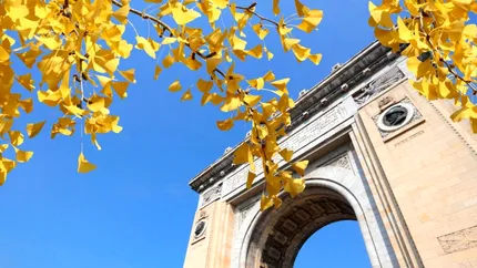 Cum să te bucuri de toamnă în București: activități și locuri de încercat în acest sezon