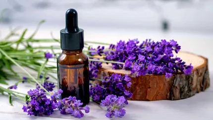 Uleiul esențial de lavandă, aliatul natural al organismului. De ce merită să-l folosești și tu