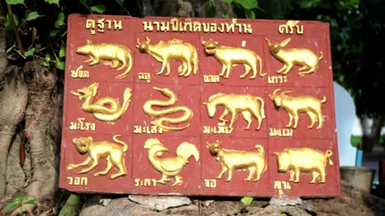 Horoscop chinezesc zilnic, 10 iunie, marți. Lasă-ți creativitatea să vorbească: o zi excelentă pentru exprimare personală și idei originale.