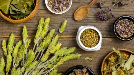Cum te pot ajuta plantele să eviți medicamentele de zi cu zi: 6 alternative naturale pentru problemele de sănătate comune