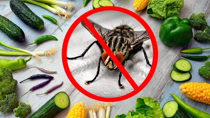 Insectele nu suportă această legumă. Soluția ieftină care le ține la distanță