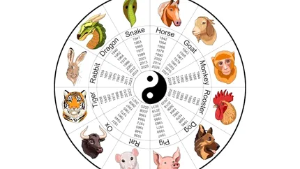 Horoscop chinezesc zilnic, 23 iunie, luni. Ziua acțiunii aduce energia necesară pentru a-ți transforma ideile în realitate