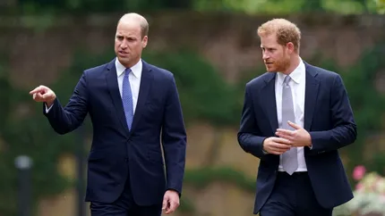 Prințul William și Prințul Harry nu vor moșteni casa mamei lor. Cine va primi casa copilăriei Prințesei Diana