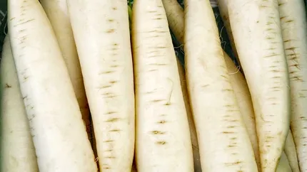 Ridichile albe de vară, leac natural pentru rinichi și ficat. De ce este bine să le consumi zilnic