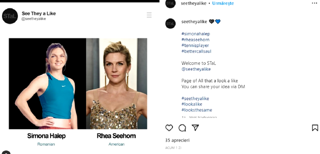  Femeia celebră care seamănă izbitor cu Simona Halep