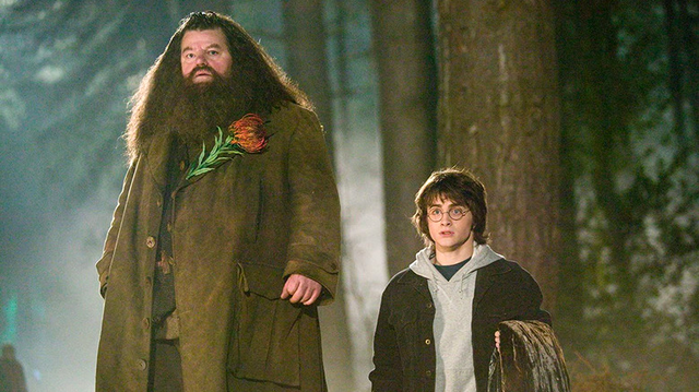 Celebrul actor din Harry Potter s-a stins din viata. De ce boala suferea