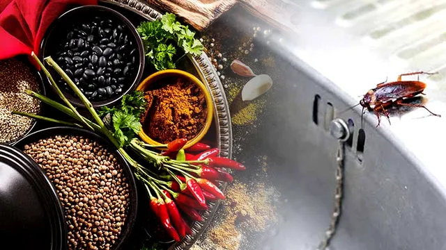 Metoda care te scapă definitiv de gândaci. Ai nevoie de câteva ingrediente banale din bucătărie, e mai simplu decât credeai