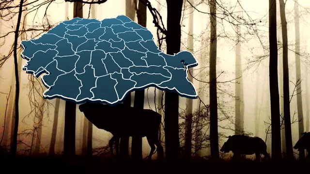 Animalul rar care trăiește în România. Este de o mare frumusețe, doar câteva exemplare mai trăiesc
