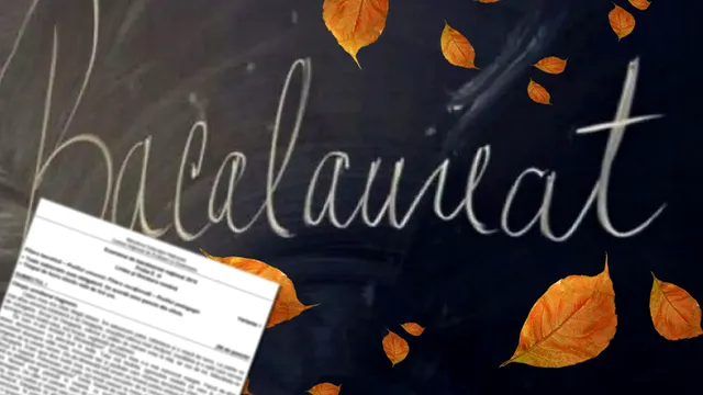 Subiecte BAC 2023 sesiunea de toamnă la proba la alegere. Ce au avut elevii de rezolvat