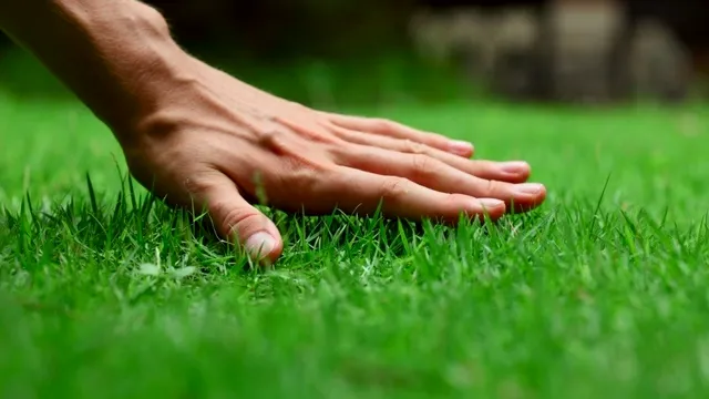 Cu ce să dai în grădină pentru a scăpa de buruieni. Metoda naturală și simplă cu efecte uimitoare