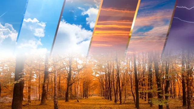 Cum va fi vremea în noiembrie 2023. Anunțul ANM, fenomenul care i-a surprins pe meteorologi