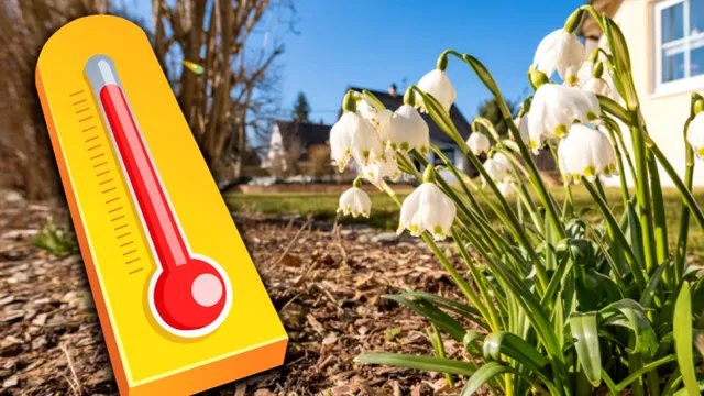 Prognoza meteo martie 2025. Aer tropical și temperaturi de primăvară în România