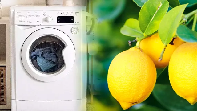 Ce se întâmplă dacă pui o lămâie în mașina de spălat. Vei scăpa de problema cu care se confruntă toate gospodinele