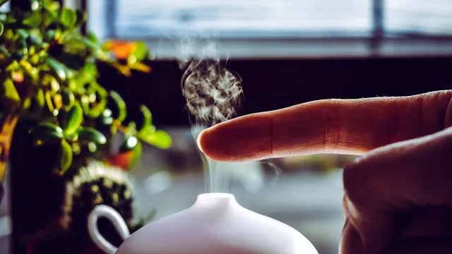 Cum să eviți bacteriile și calcarul din umidificatorul tău. Ghid complet de întreținere