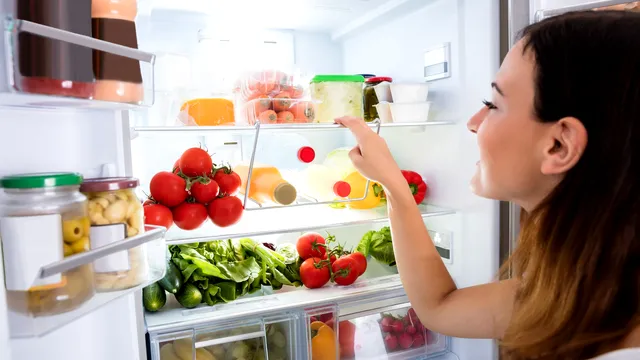 Cum să reglezi temperatura frigiderului vara