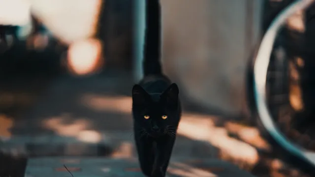 Zodia care are mare ghinion în luna aprilie 2022. Are parte numai de necazuri
