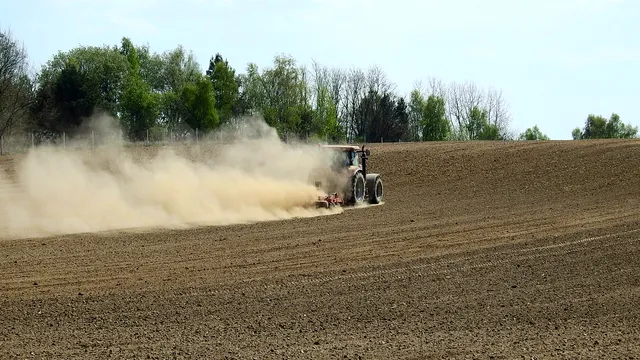 Apare o nouă meserie în România. Este unică în lume