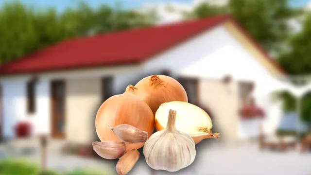 Ce se întâmplă dacă pui ceapă și usturoi pe lângă casă. Vei spune și prietenilor acest truc genial