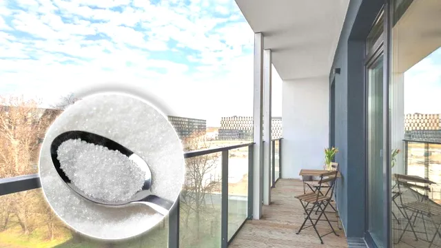 De ce este bine să lași o linguriță cu zahăr în balcon când pleci de acasă. Cât de important este acest gest