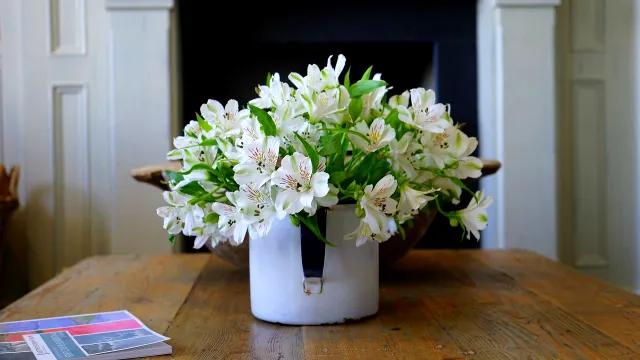 Ingredientul secret care readuce la viaţă florile ofilite. Ce trebuie să pui în pământul lor