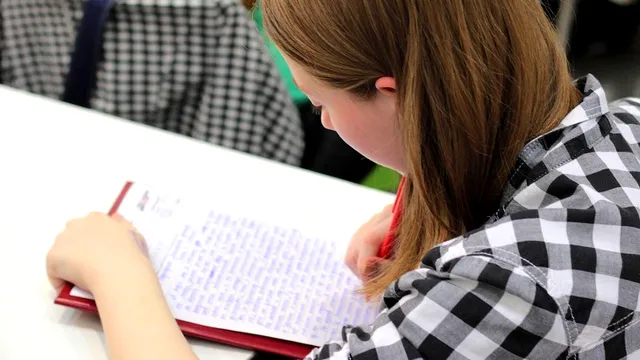O nouă materie în şcoli. Ce vor studia elevii în anul şcolar 2023-2024