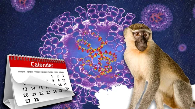 Pacienții cu variola maimuței ar putea fi infecțioși până la 10 săptămâni. Ce au descoperit oamenii de știință
